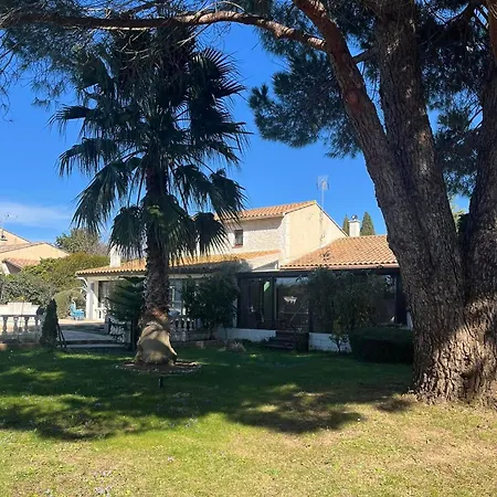 L'ecrin De Camargue *